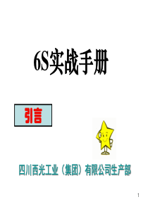 6S实战手册