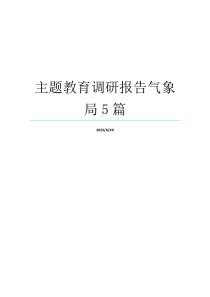 主题教育调研报告气象局5篇