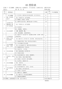 6S查检表