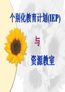 第五讲 IEP资源教室