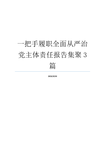 一把手履职全面从严治党主体责任报告集聚3篇