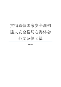 贯彻总体国家安全观构建大安全格局心得体会范文范例3篇