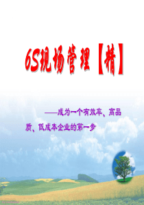 6S现场管理(精)