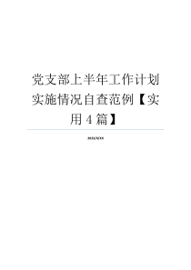 党支部上半年工作计划实施情况自查范例【实用4篇】