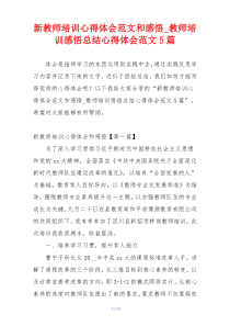 新教师培训心得体会范文和感悟_教师培训感悟总结心得体会范文5篇