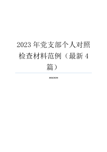 2023年党支部个人对照检查材料范例（最新4篇）