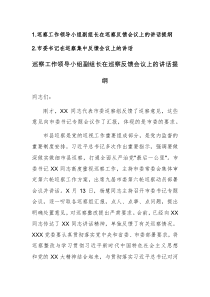 巡察工作领导小组副组长在巡察反馈会议上的讲话提纲范文