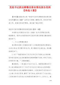 党组书记抓巡察整改落实情况报告范例【热选5篇】