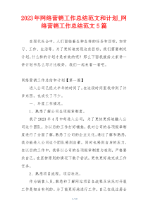 2023年网络营销工作总结范文和计划_网络营销工作总结范文5篇