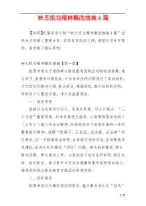 缺乏担当精神整改措施4篇