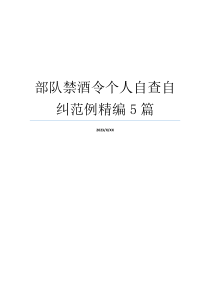 部队禁酒令个人自查自纠范例精编5篇