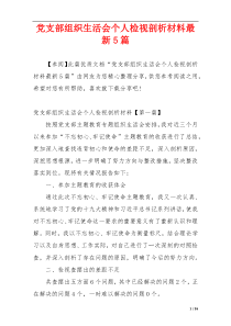 党支部组织生活会个人检视剖析材料最新5篇