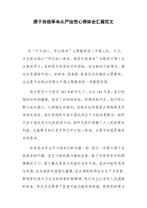 勇于自我革命从严治党心得体会汇篇范文