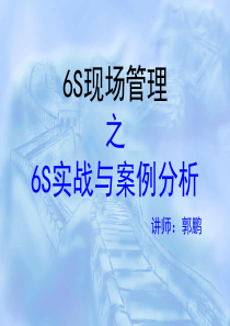 6s管理实战与案例分析