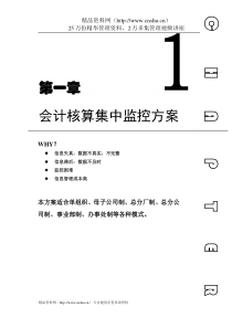 ERP系统实施-用友-用友ERP方案-01_第一章 会计监控(DOC 17页)