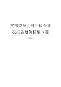 支部委员会对照检查情况报告范例精编3篇