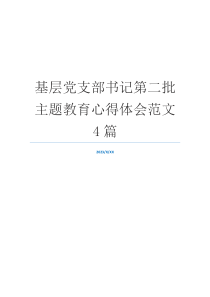 基层党支部书记第二批主题教育心得体会范文4篇