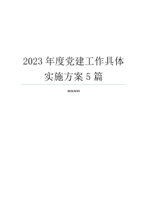 2023年度党建工作具体实施方案5篇