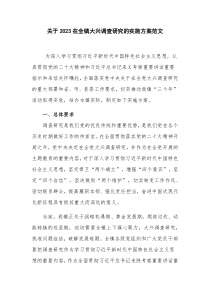 关于2023在全镇大兴调查研究的实施方案范文