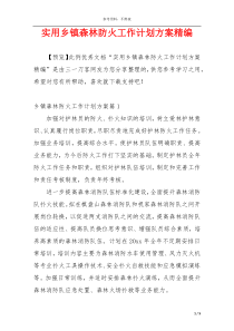 实用乡镇森林防火工作计划方案精编