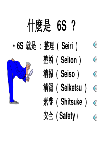 什么是6SPPT84(2)