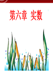 初中数学【7年级下】6.1 平方根(1) (41)