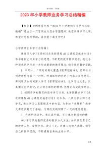 2023年小学教师业务学习总结精编