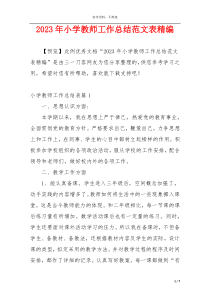 2023年小学教师工作总结范文表精编