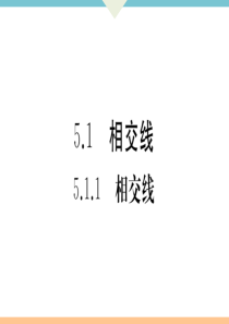 初中数学【7年级下】5.1.1  相交线