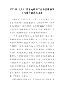 2023年12月11日中央经济工作会议精神学习心得体会范文2篇