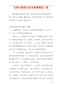 发展对象群众意见集聚精选5篇