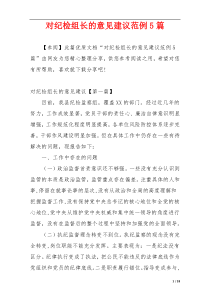 对纪检组长的意见建议范例5篇