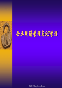 企业现场管理及5s管理讲义（PPT91页)