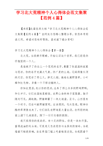 学习北大荒精神个人心得体会范文集聚【范例4篇】