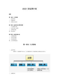 淘宝运营计划