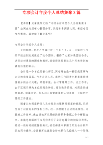 专项会计年度个人总结集聚3篇