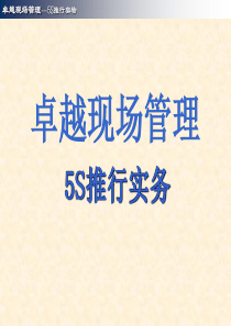 卓越管理5S推行实务