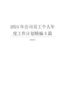 2024年公司员工个人年度工作计划精编5篇