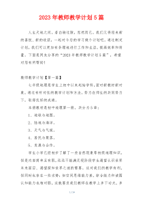 2023年教师教学计划5篇