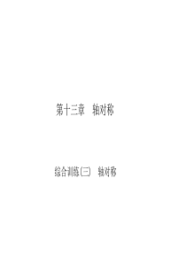 初中数学【8年级上】综合训练(三)　轴对称