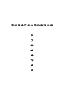 宁波XX汽车内饰件有限公司6S实战操作系统(doc 18)