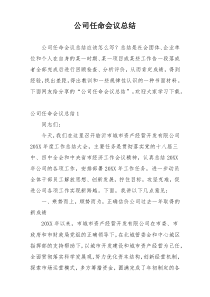 公司任命会议总结