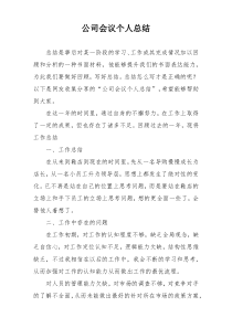 公司会议个人总结