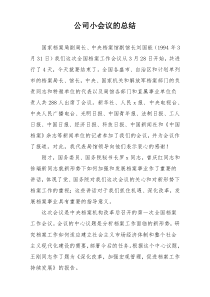 公司小会议的总结