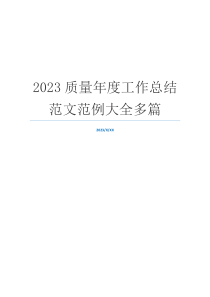 2023质量年度工作总结范文范例大全多篇