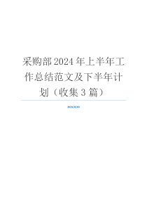 采购部2024年上半年工作总结范文及下半年计划（收集3篇）