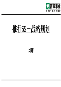 推行5S战略规划1