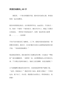 美丽的南澳岛-400字-2019年作文