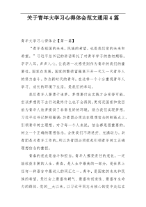 关于青年大学习心得体会范文通用4篇