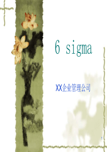 某企业管理公司6SIGMA培训全套资料(PPT_247页)